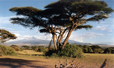 Tanzania-Tanzania-Kilimanjaro Classic Ride
